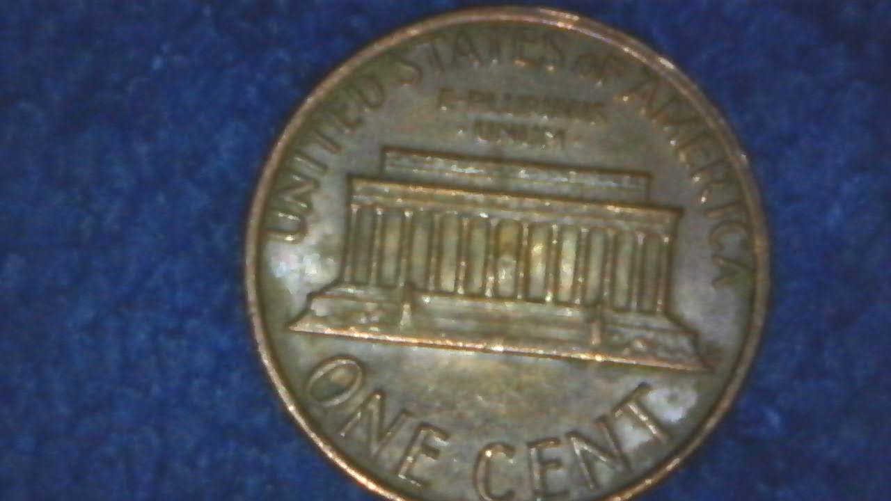 Rim-Splits,-Fins-And-Cuds