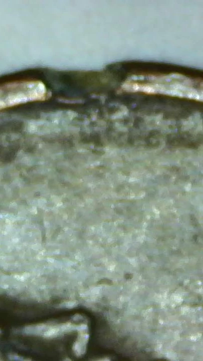 1992-D-Penny-Rim-Damage?-D-Image?
