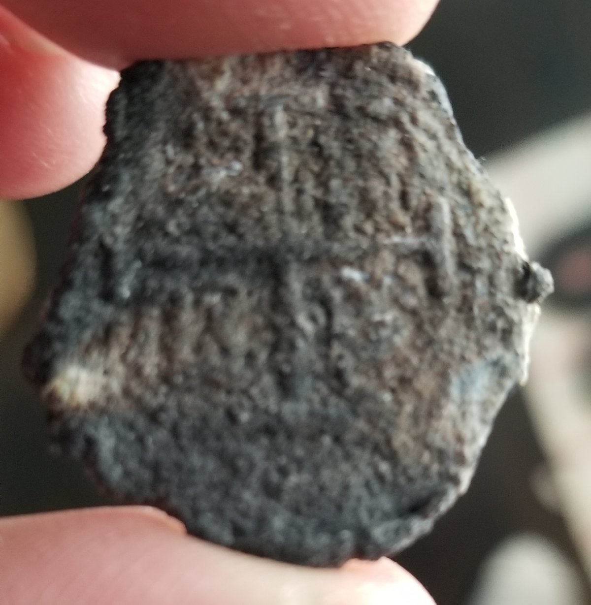 Coin-Found-On-Beach,-Counterfeit-Or-Real?