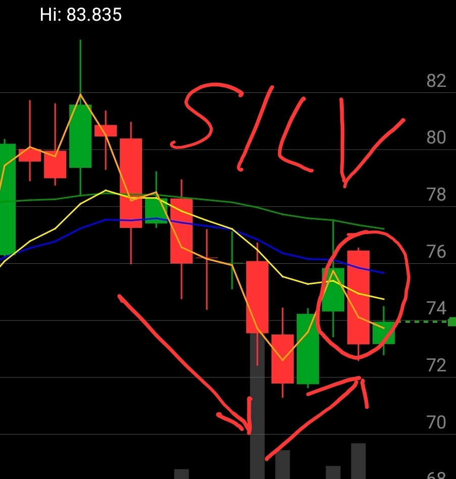 Is-Silver-Ready-To-Hit-$50---1/29/2026:-Will-It-Hit-$130?---Previous-Milestones-In-First-Post
