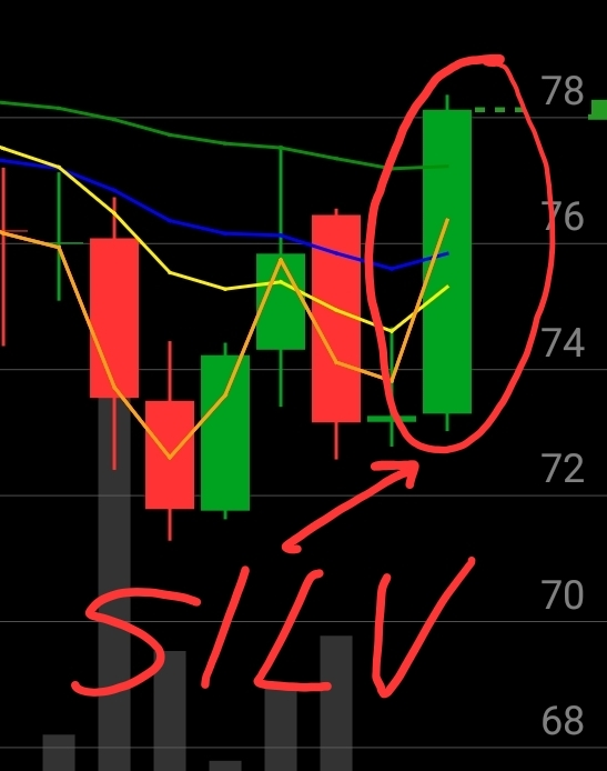 Is-Silver-Ready-To-Hit-$50---1/29/2026:-Will-It-Hit-$130?---Previous-Milestones-In-First-Post