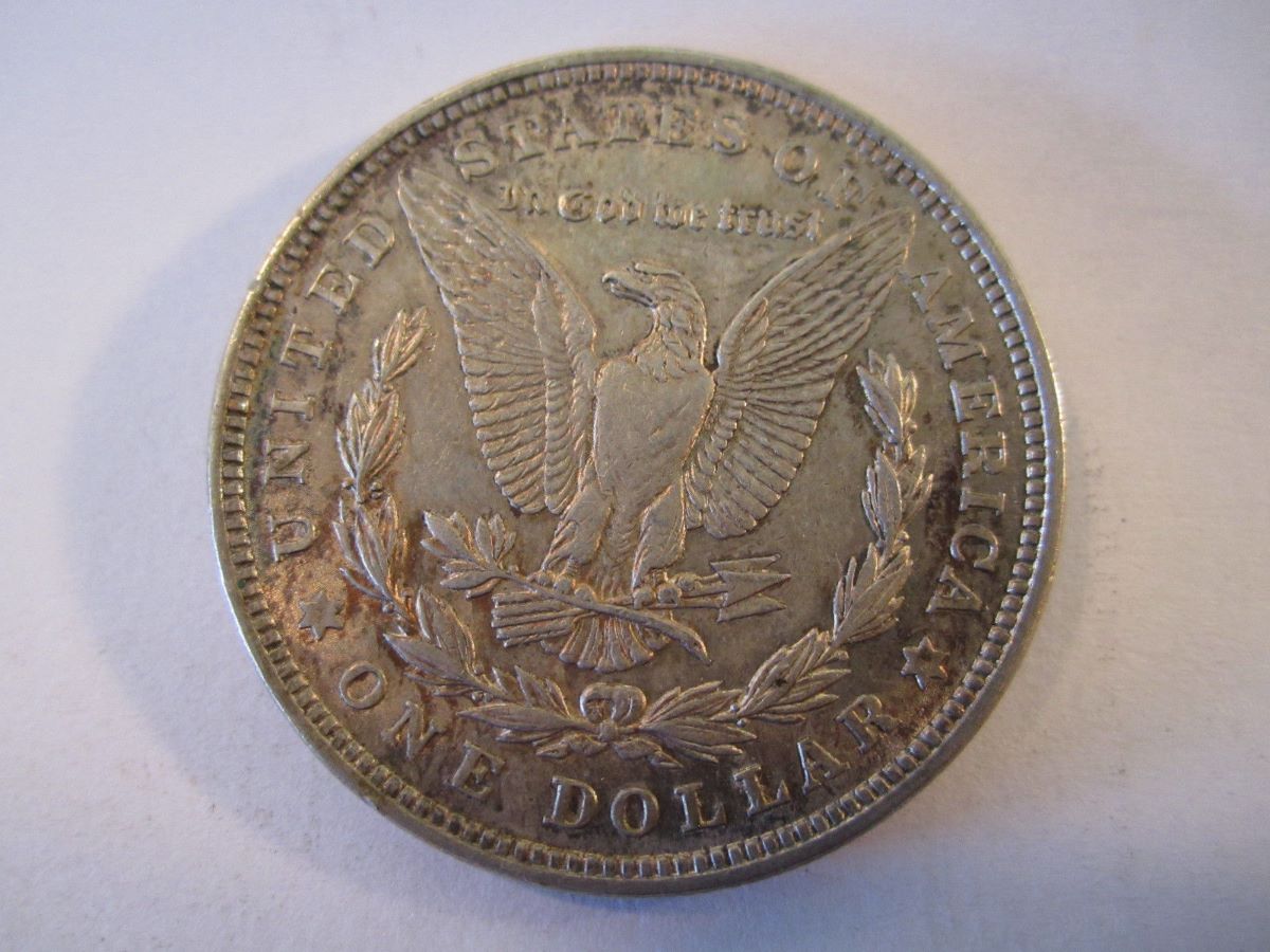 1921-Morgan-Dollar-For-Grading