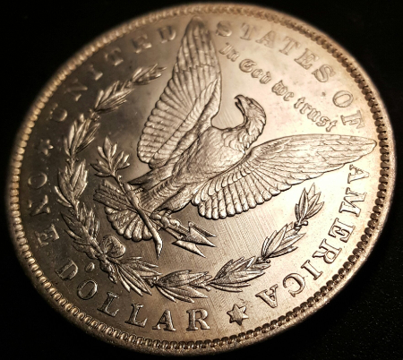 1883-O-Morgan-For-Grading-Updated-Pics