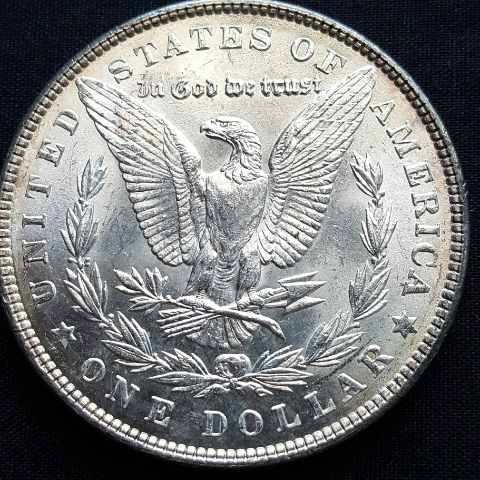 1903-P-Morgan-Dollar-For-Grading.