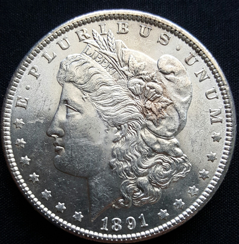 1891-P-Morgan-Dollar-For-Grading.-Coin-1