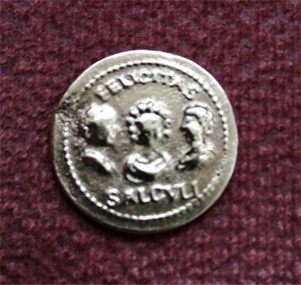 Septimius-Severus---Ric-181c-Limes-Ae-Aureus-Coin