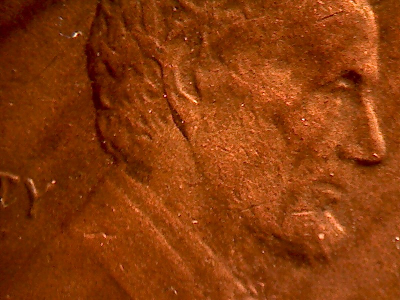 1983-Doubled-Ear-Close-Up