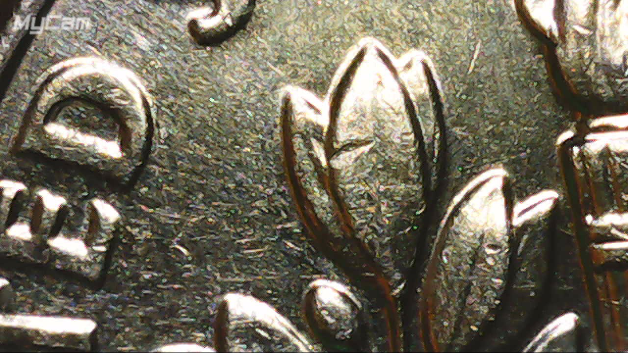 2021-D-Roosevelt-Dime-Possible-Die-Chip