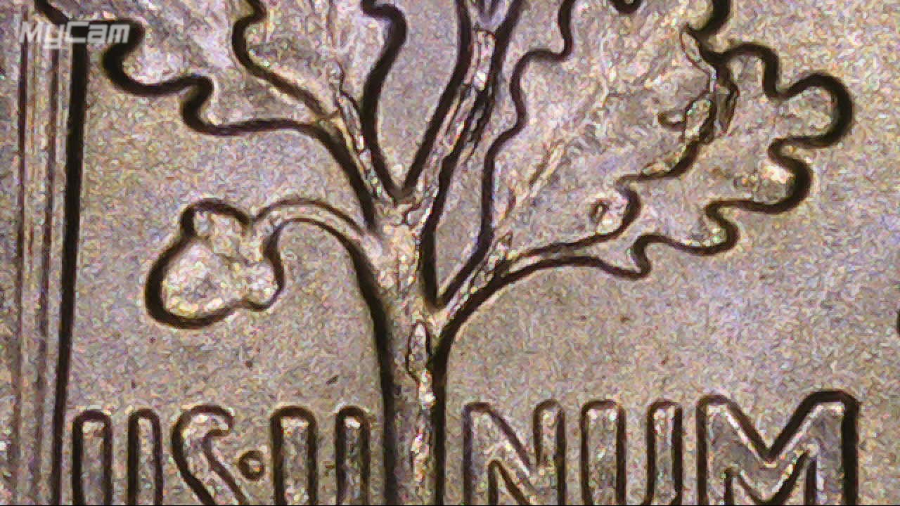 2016-P-Dime-Cracked-Die-Or-Do-I-Need-A-Tree-Surgeon-?