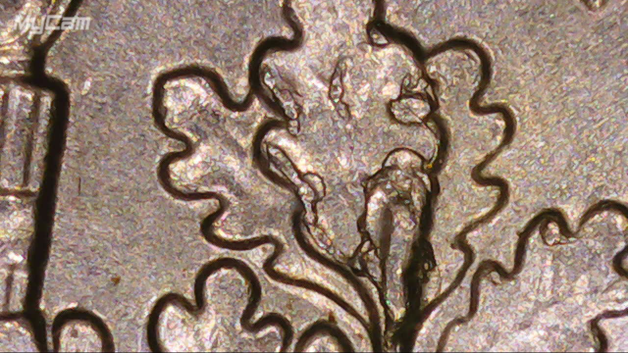 2016-P-Dime-Cracked-Die-Or-Do-I-Need-A-Tree-Surgeon-?