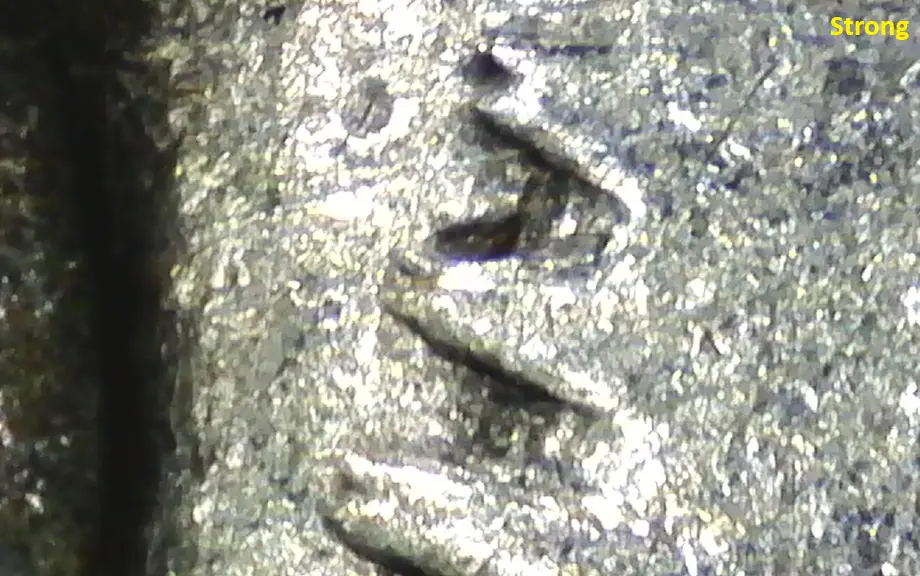 Fish-Gills-On-Liberty's-Neck,-Possible-Unlisted-1921-Peace-Dollar-VAM?
