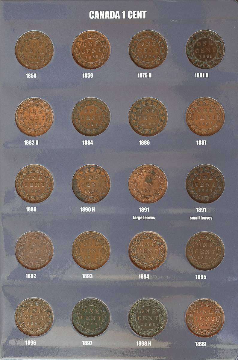 Curious-As-To-How-Many-Members-Collect-American-Coins