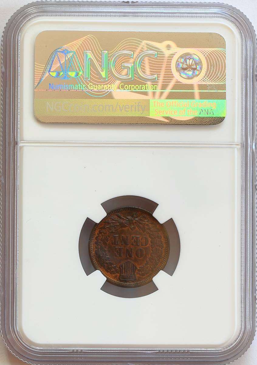 Flying-Eagle-And-Indian-Head-Cents-And-A-Future-Long-Term-Project