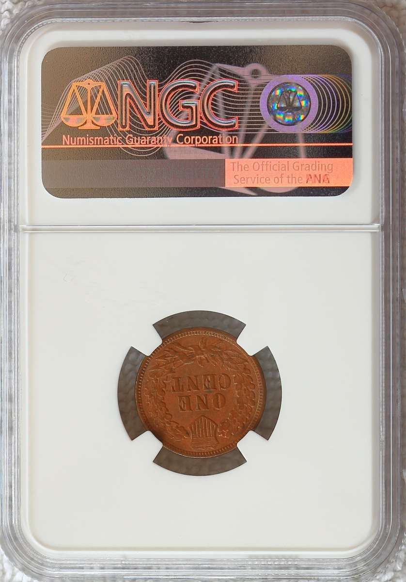 Flying-Eagle-And-Indian-Head-Cents-And-A-Future-Long-Term-Project