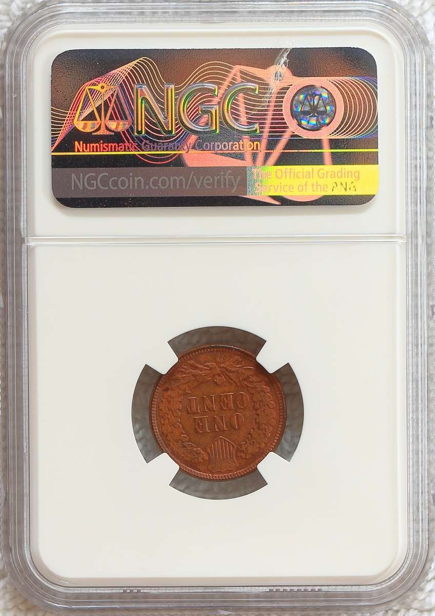 Flying-Eagle-And-Indian-Head-Cents-And-A-Future-Long-Term-Project