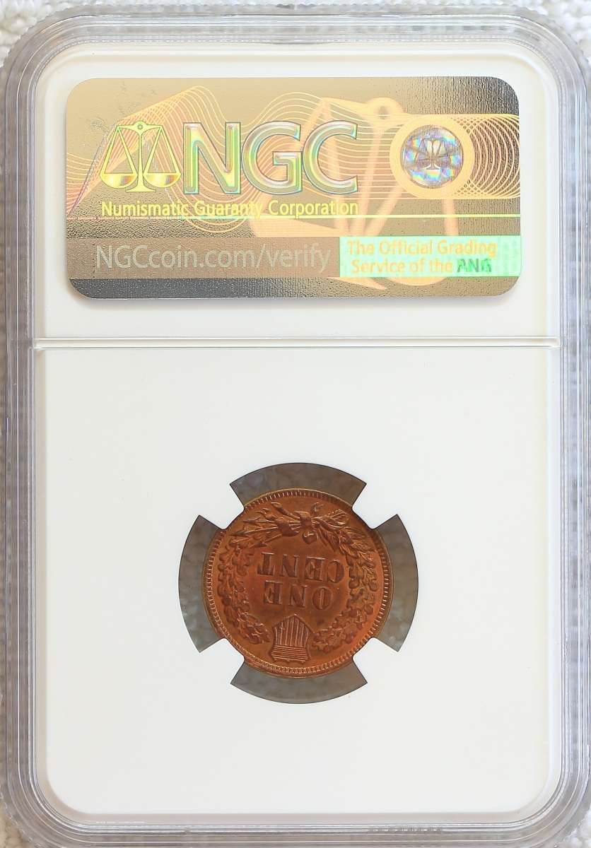 Flying-Eagle-And-Indian-Head-Cents-And-A-Future-Long-Term-Project