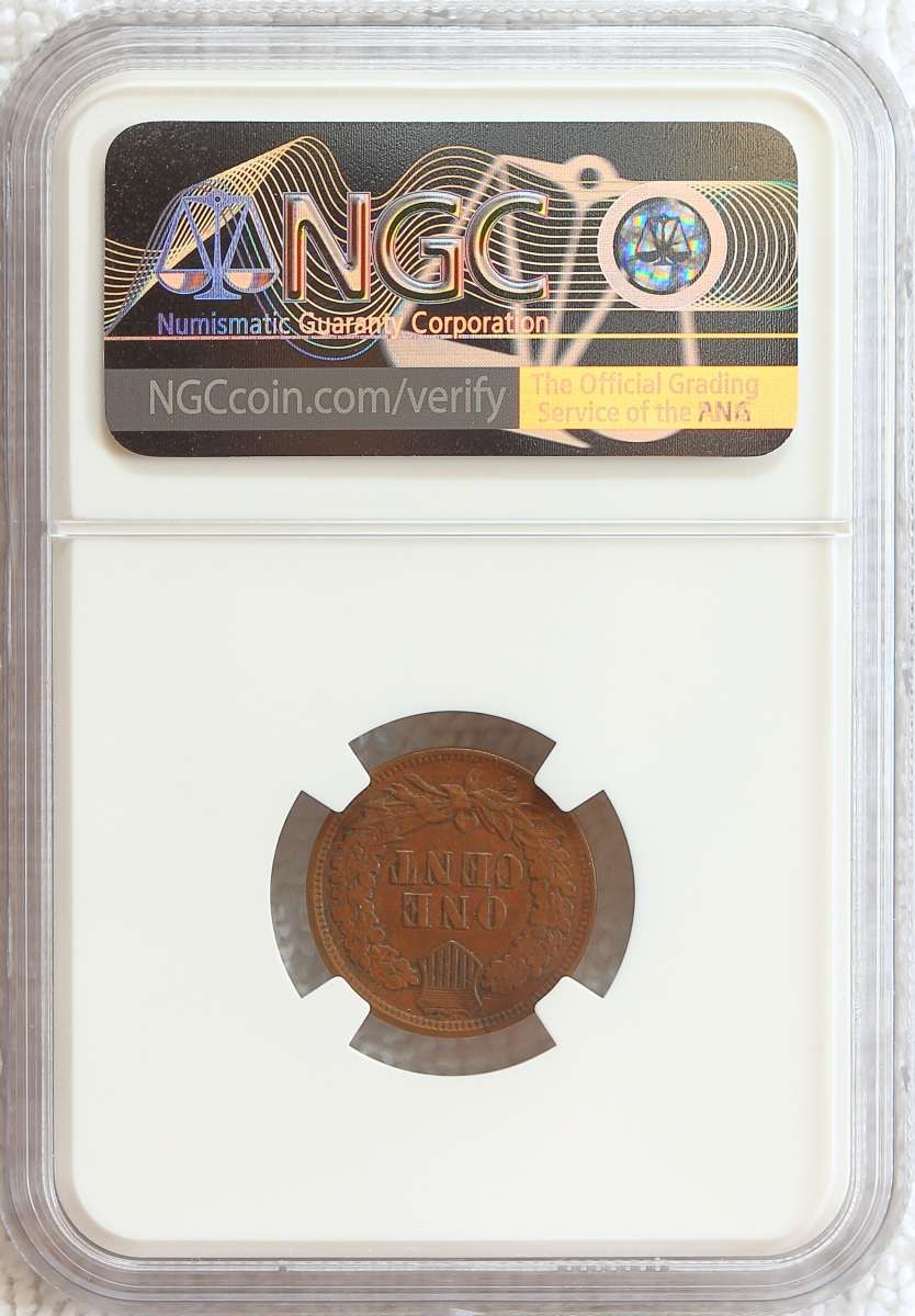 Flying-Eagle-And-Indian-Head-Cents-And-A-Future-Long-Term-Project