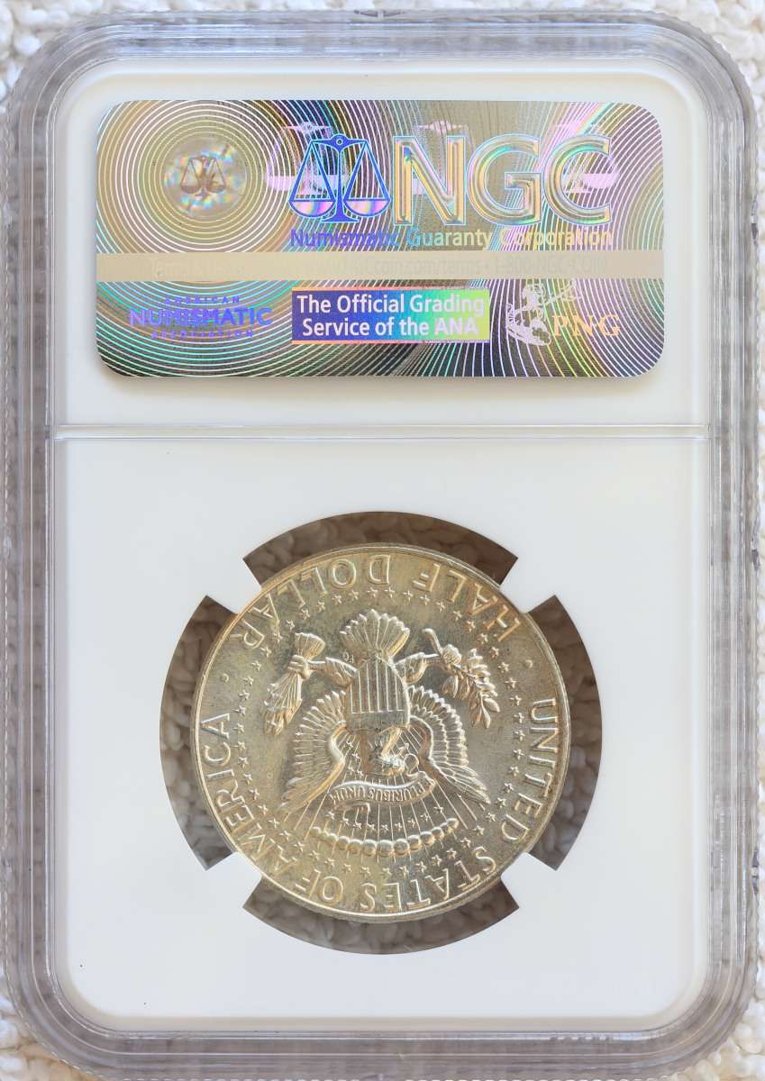 Hfjacinto's-Slabbed-Dansco-7070-With-Gold-Page