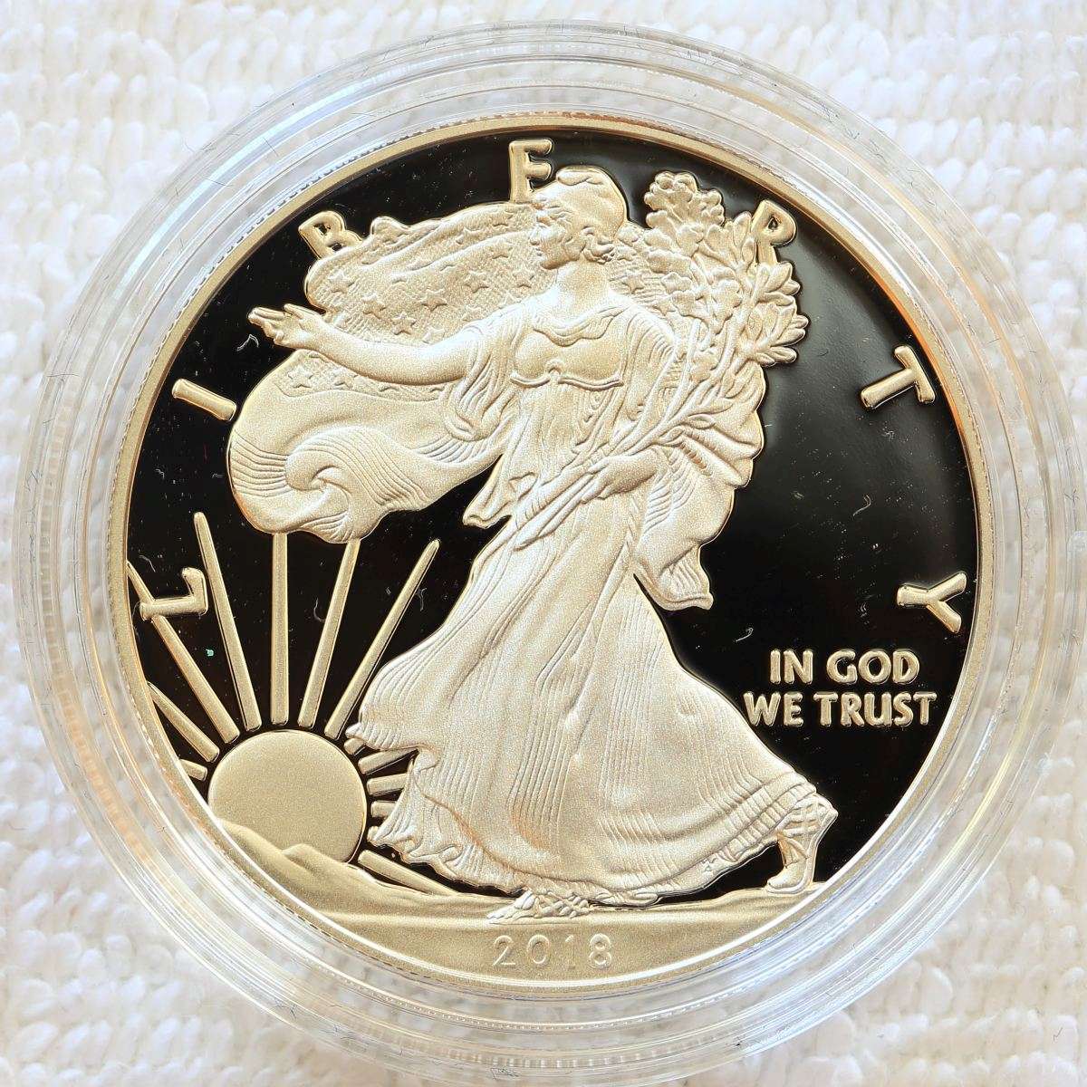 A-Compendium-Of-American-Silver-Eagles..