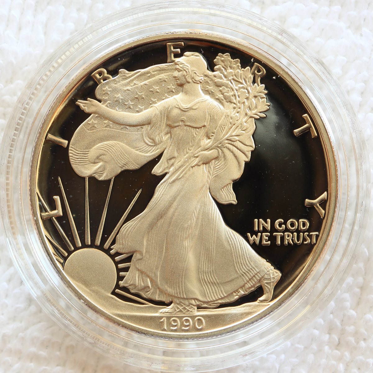 A-Compendium-Of-American-Silver-Eagles..