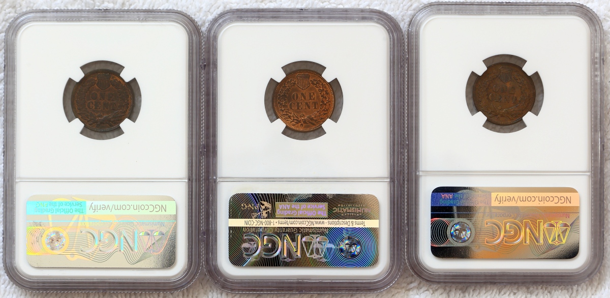 Flying-Eagle-And-Indian-Head-Cents-And-A-Future-Long-Term-Project