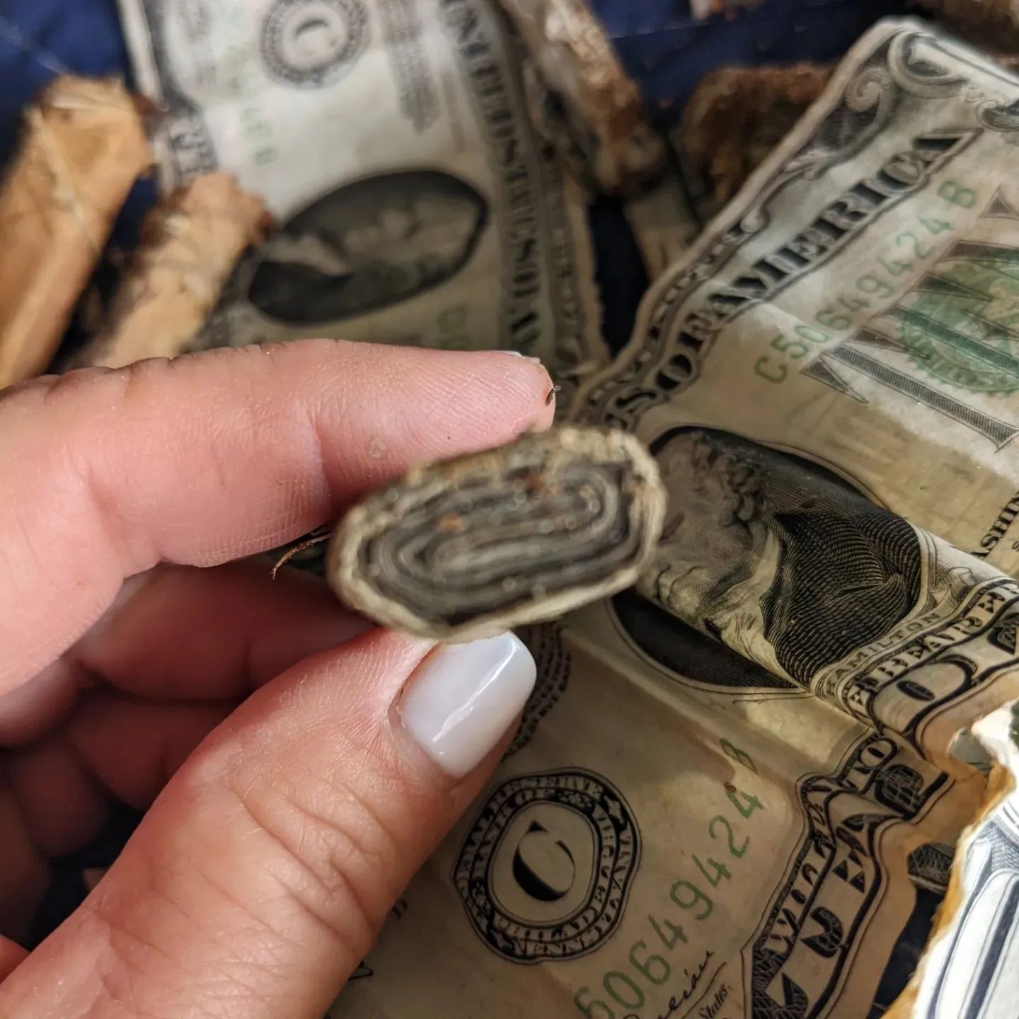 $1000-In-1934-Bills-Found-In-A-Crawl-Space-In-Wildwood-NJ