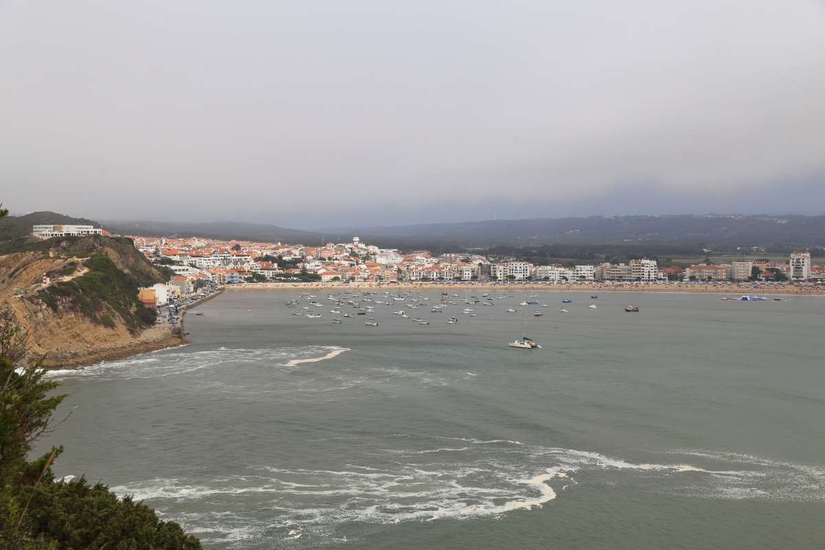 A-Collection-Of-Coins-From-Portugal