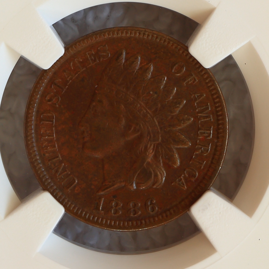Flying-Eagle-And-Indian-Head-Cents-And-A-Future-Long-Term-Project