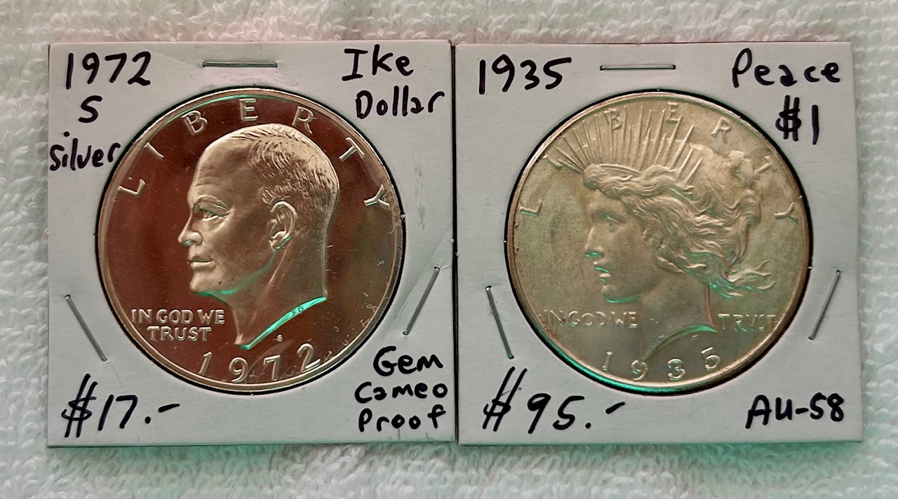 Started-A-Dansco-7172---1878-To-1999-Dollar-Date-Set