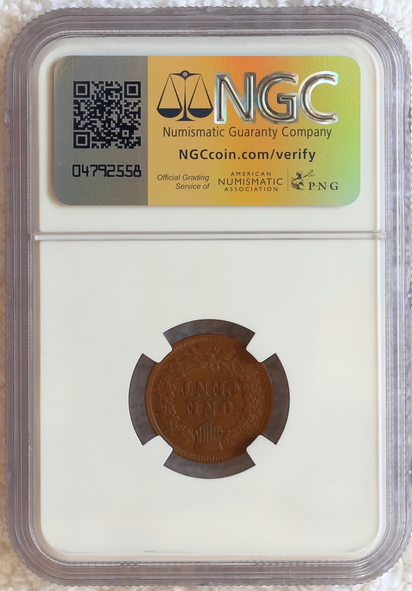 Flying-Eagle-And-Indian-Head-Cents-And-A-Future-Long-Term-Project