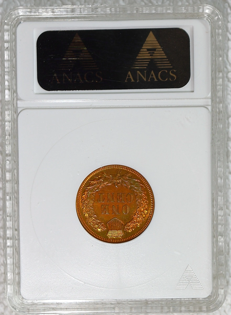 Flying-Eagle-And-Indian-Head-Cents-And-A-Future-Long-Term-Project