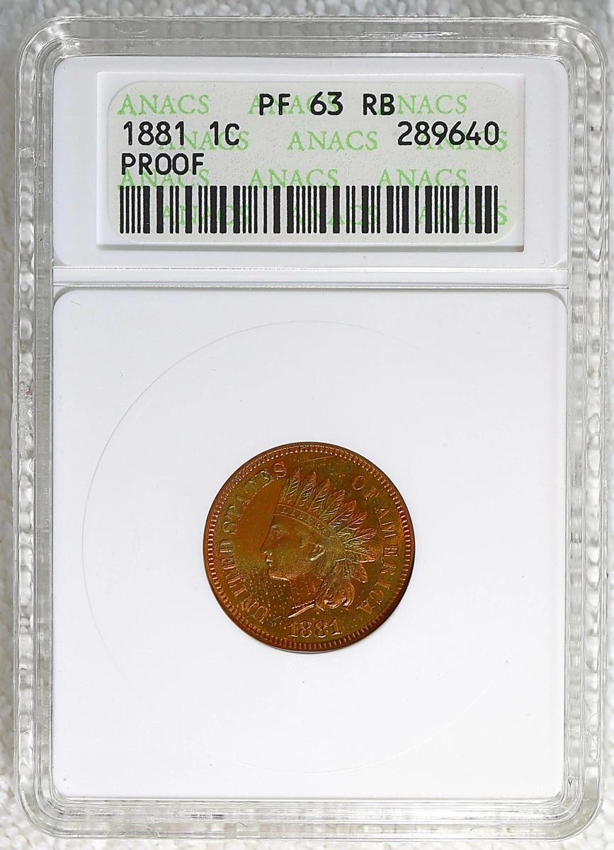 Flying-Eagle-And-Indian-Head-Cents-And-A-Future-Long-Term-Project