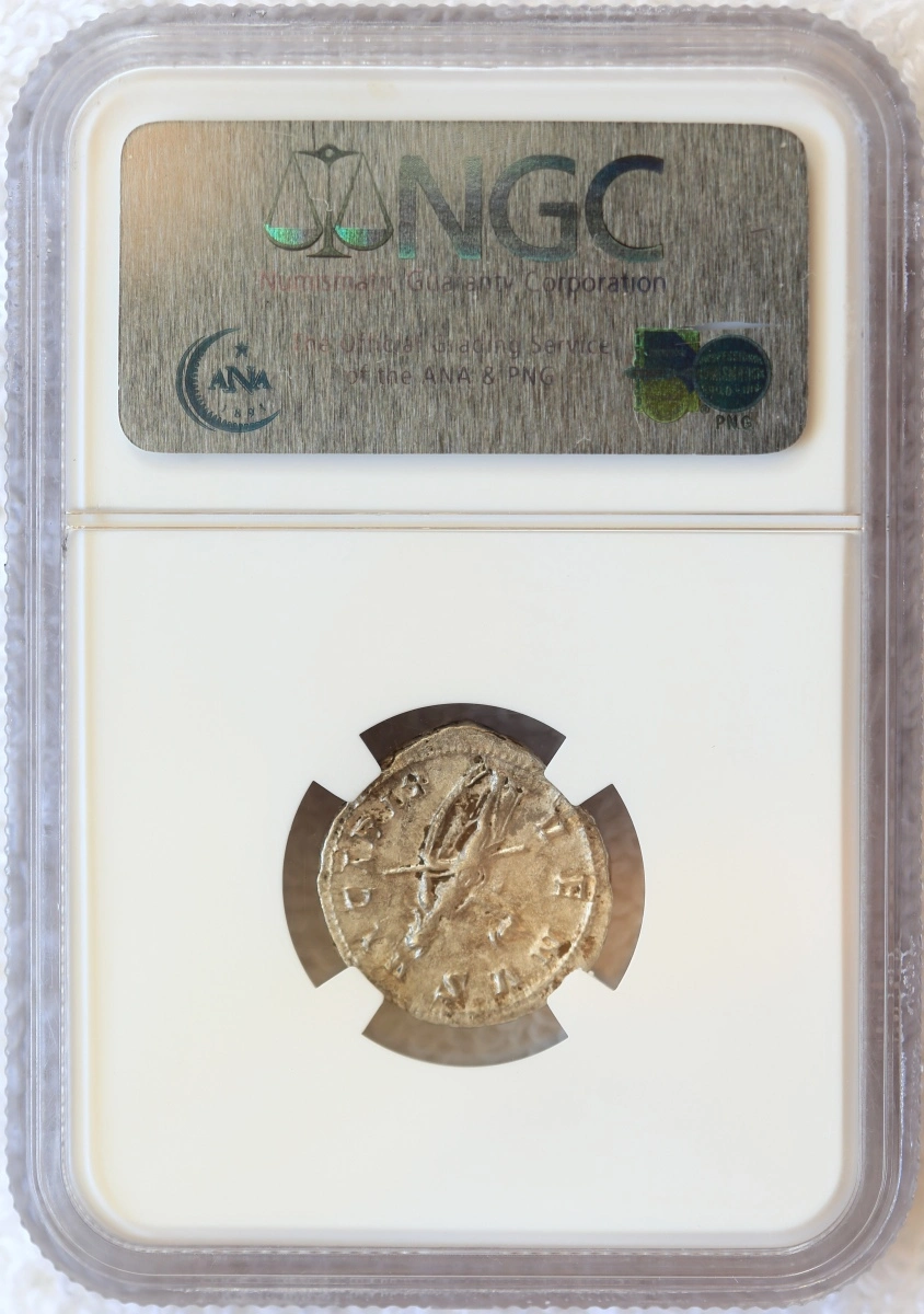 What-Is-Your-Oldest-Coin?