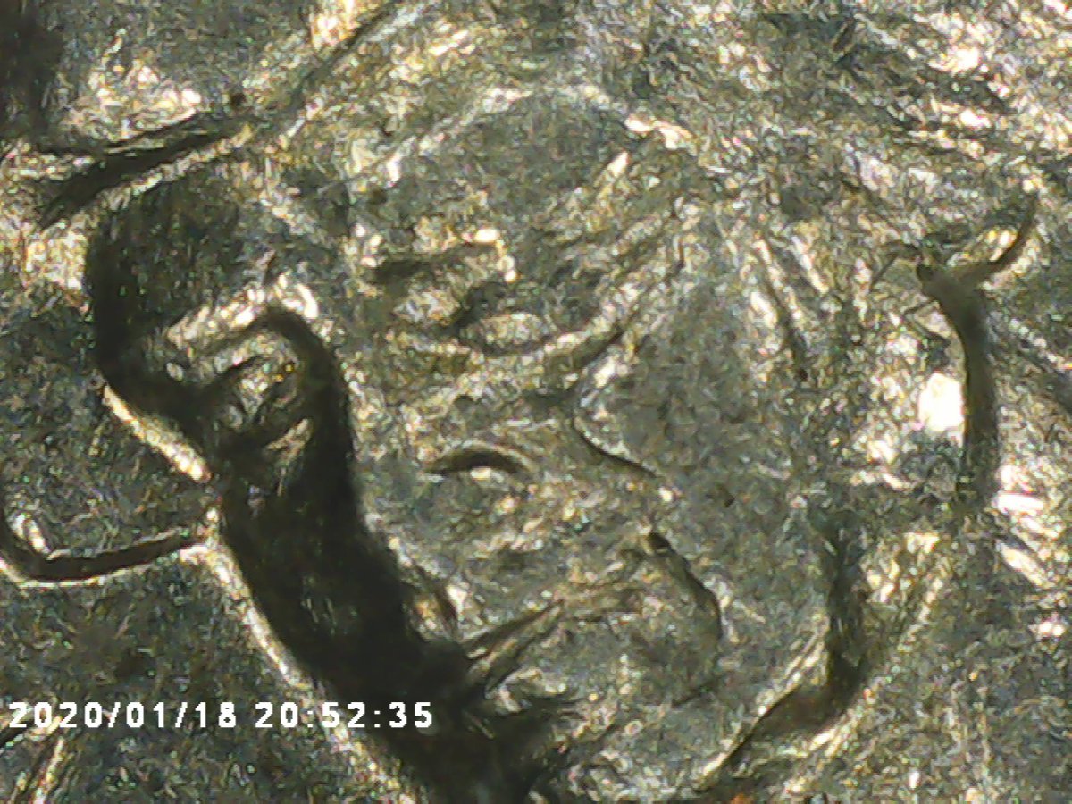 Bicentennial-Quarter-Have-Messed-Up-Face-And-Doubling