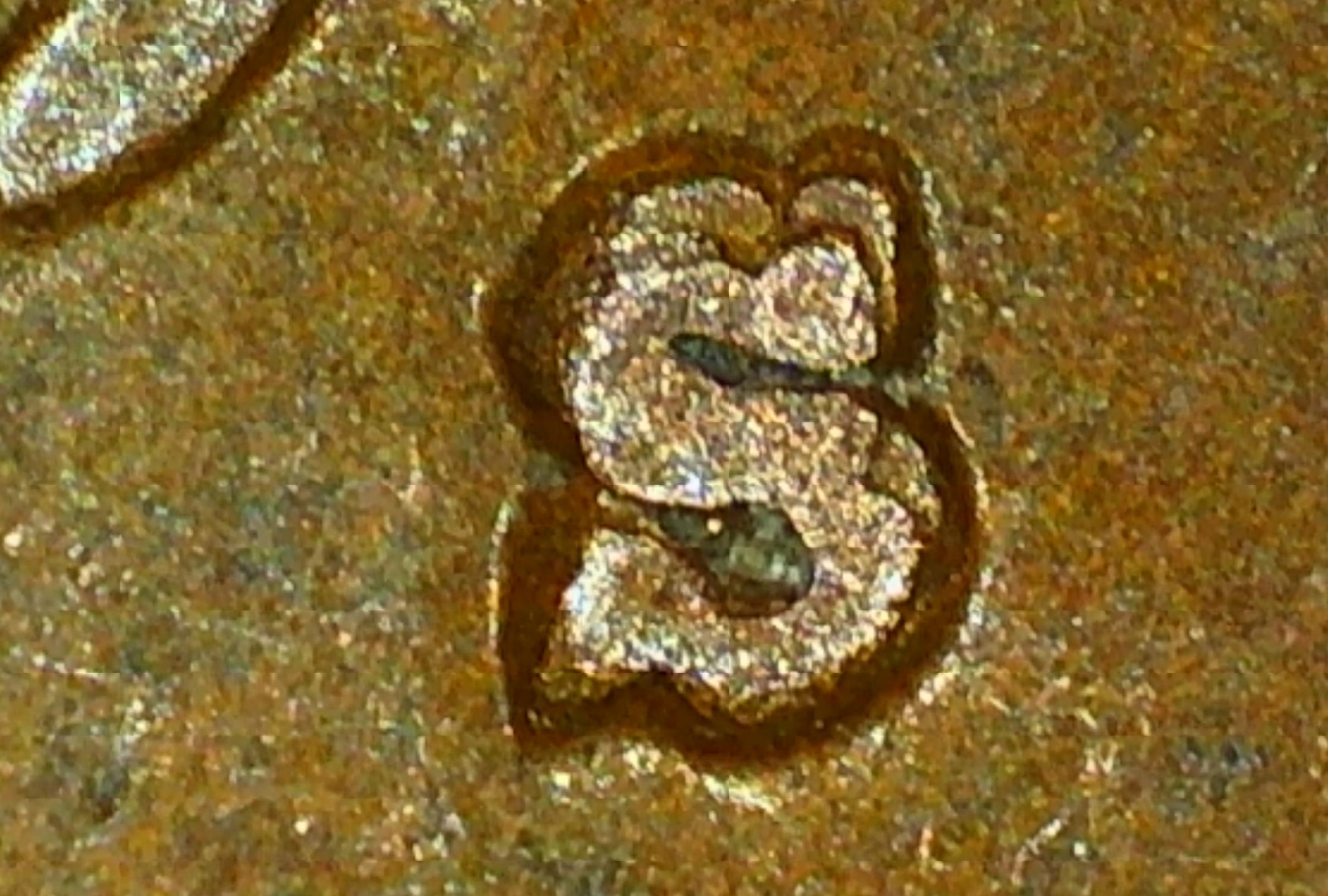 1941-S-Wheat-Penny-RPM?