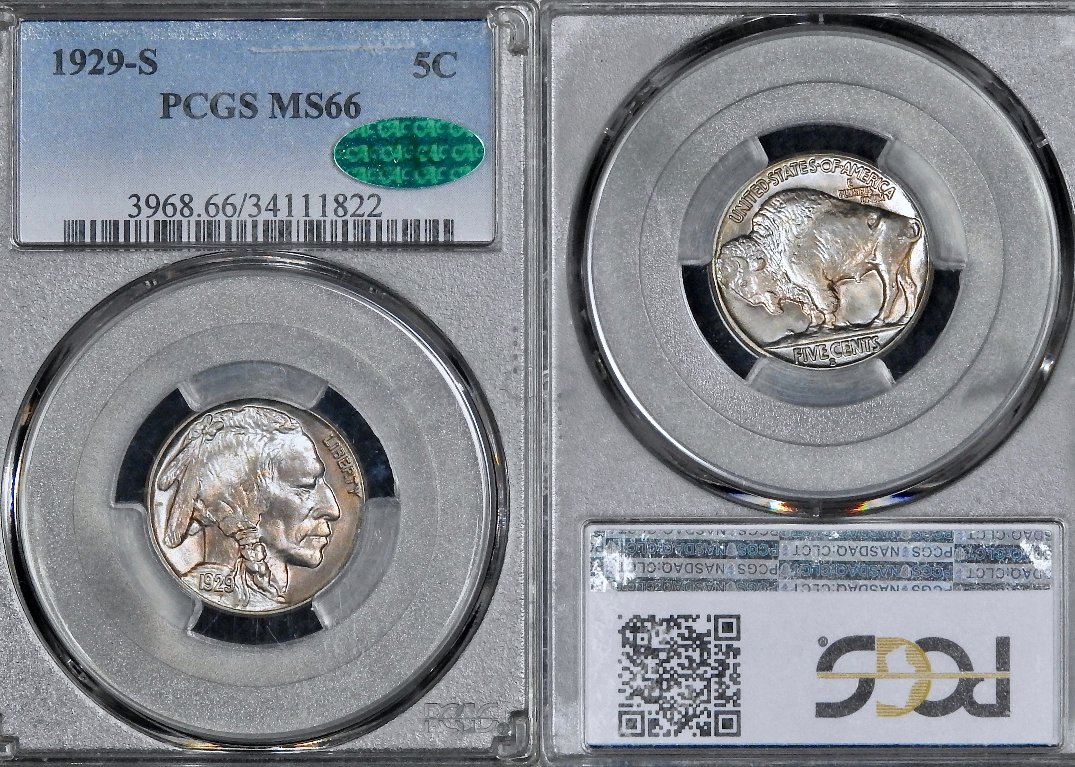 My-Buffalo-Nickel-Type-Set