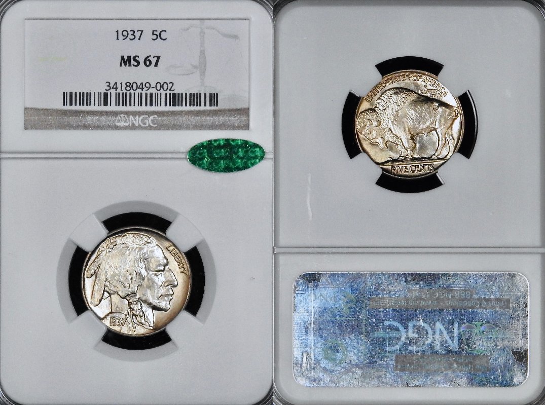 My-Buffalo-Nickel-Type-Set