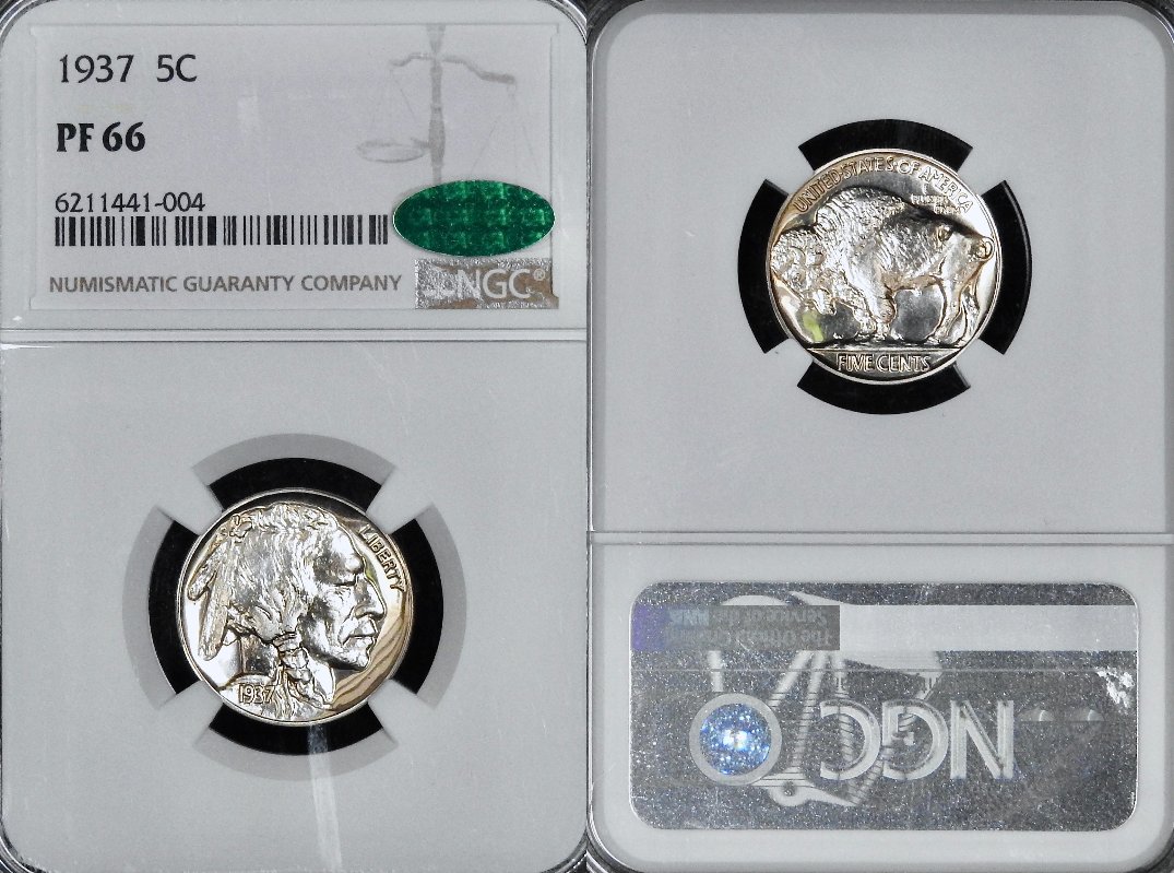 My-Buffalo-Nickel-Type-Set