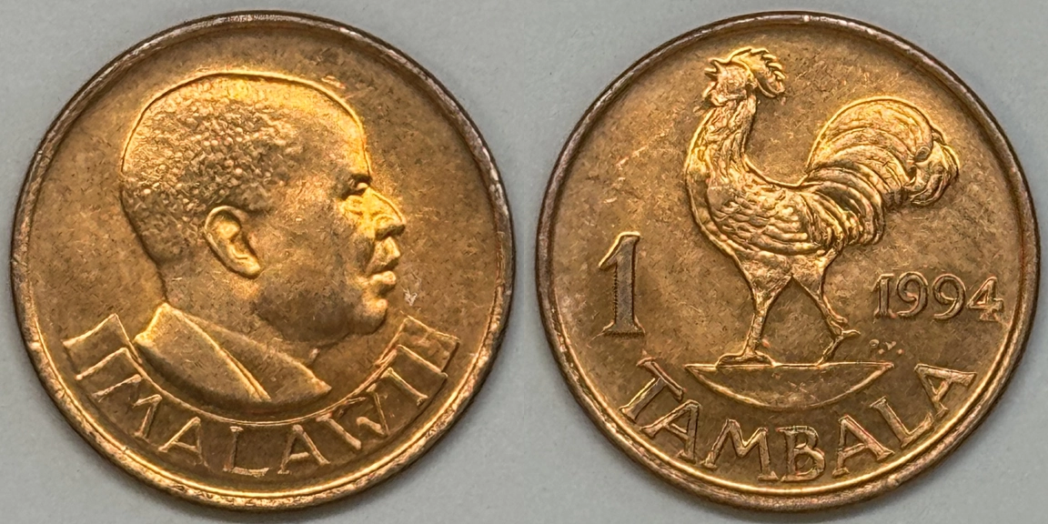 Show-Your-French-Cockerel