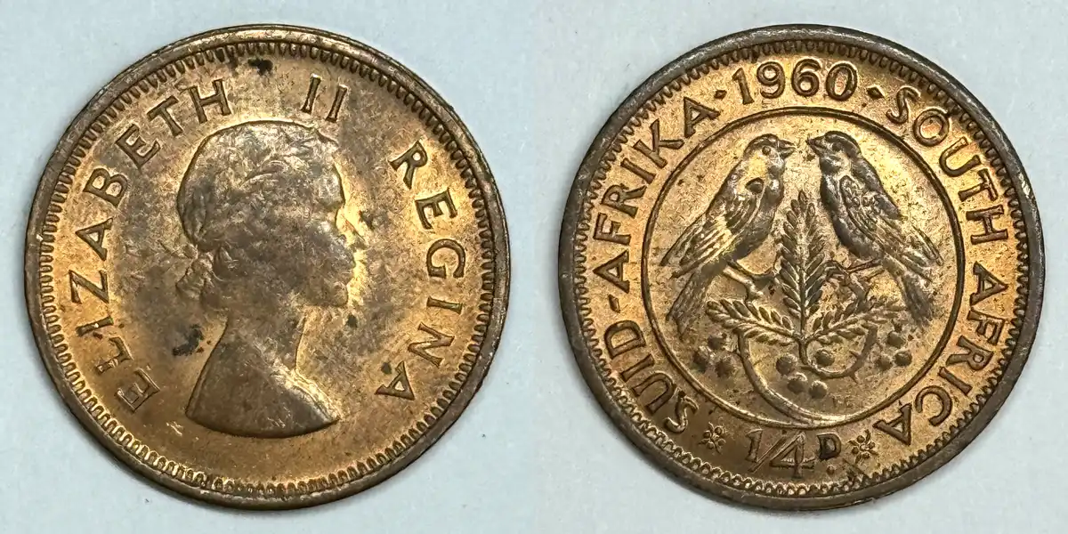 Post-Your-Bird-Coins