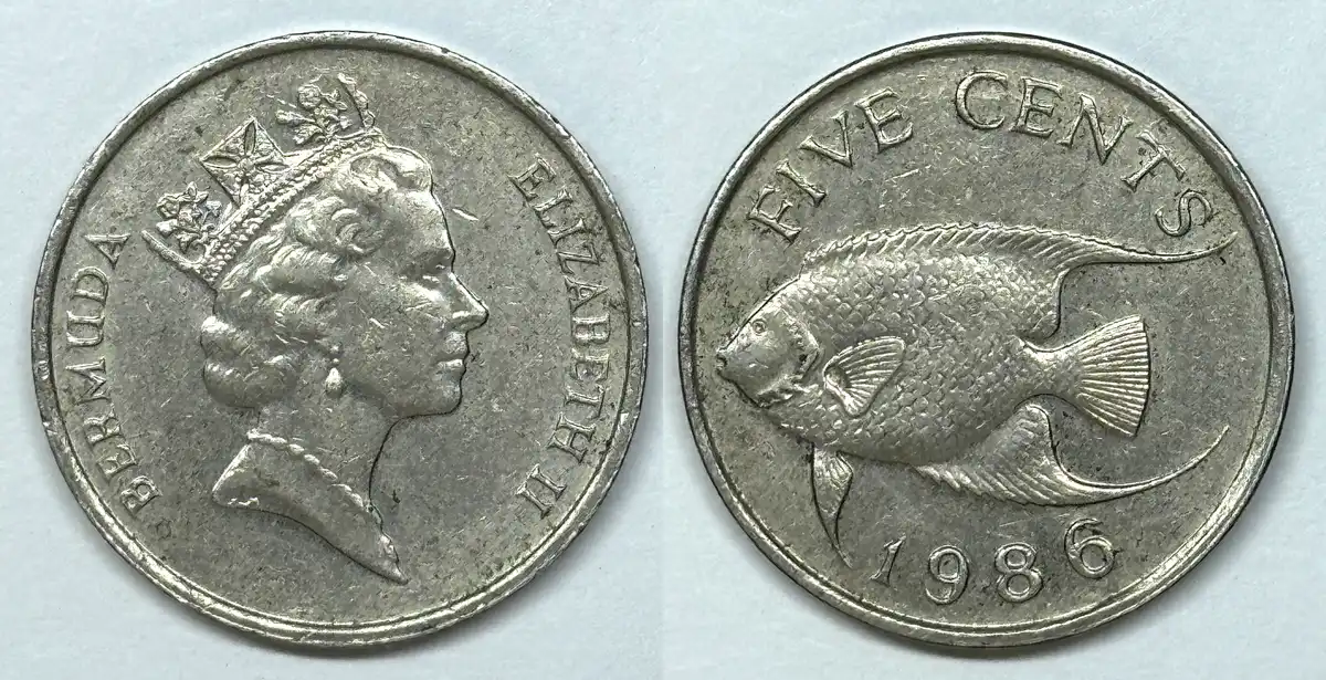 Post-Your-Coins-With-Earrings