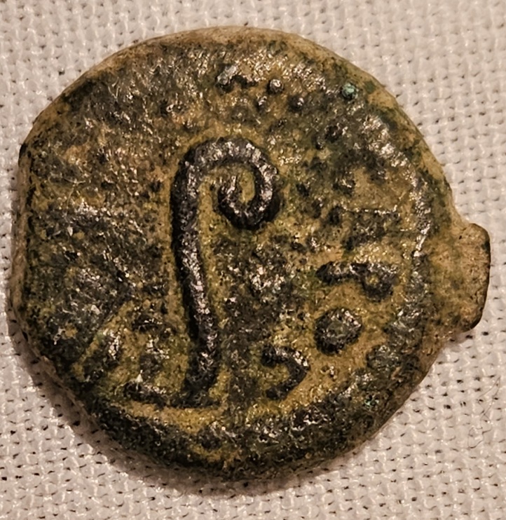 Pontius-Pilate-Prutah-30-A.d.-Litiuus-Variety