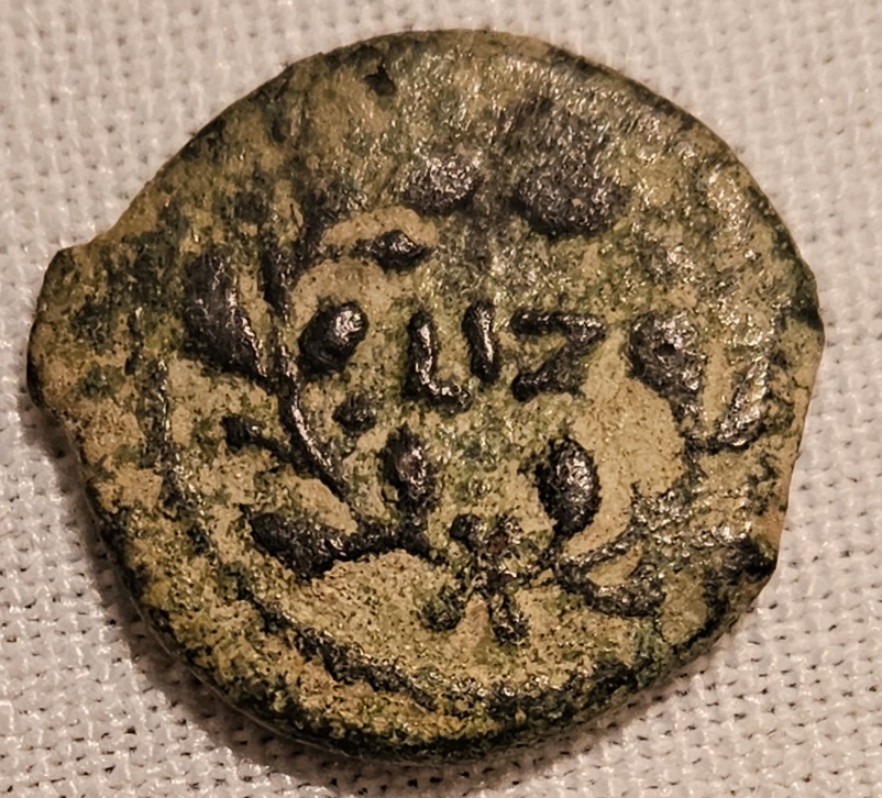 Pontius-Pilate-Prutah-30-A.d.-Litiuus-Variety