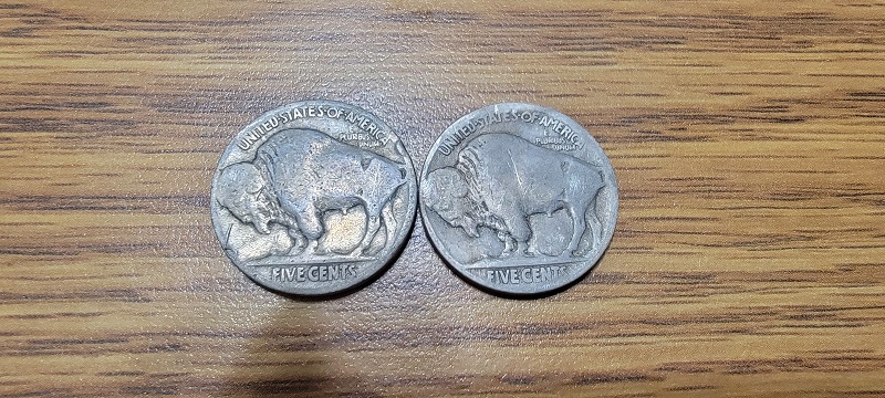 Experiment-With-Dateless-Buffalo-Nickels