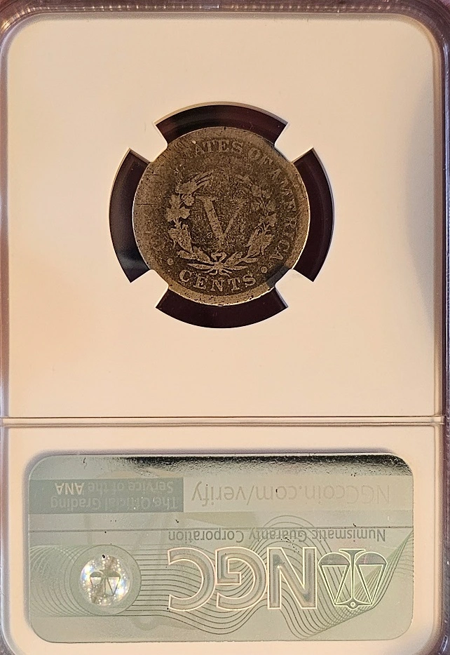 The-Start-Of-My-Liberty-