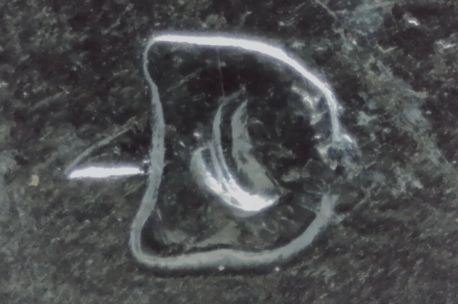 1956-D-Washington-Quarter-D/Inverted-D-FS-501
