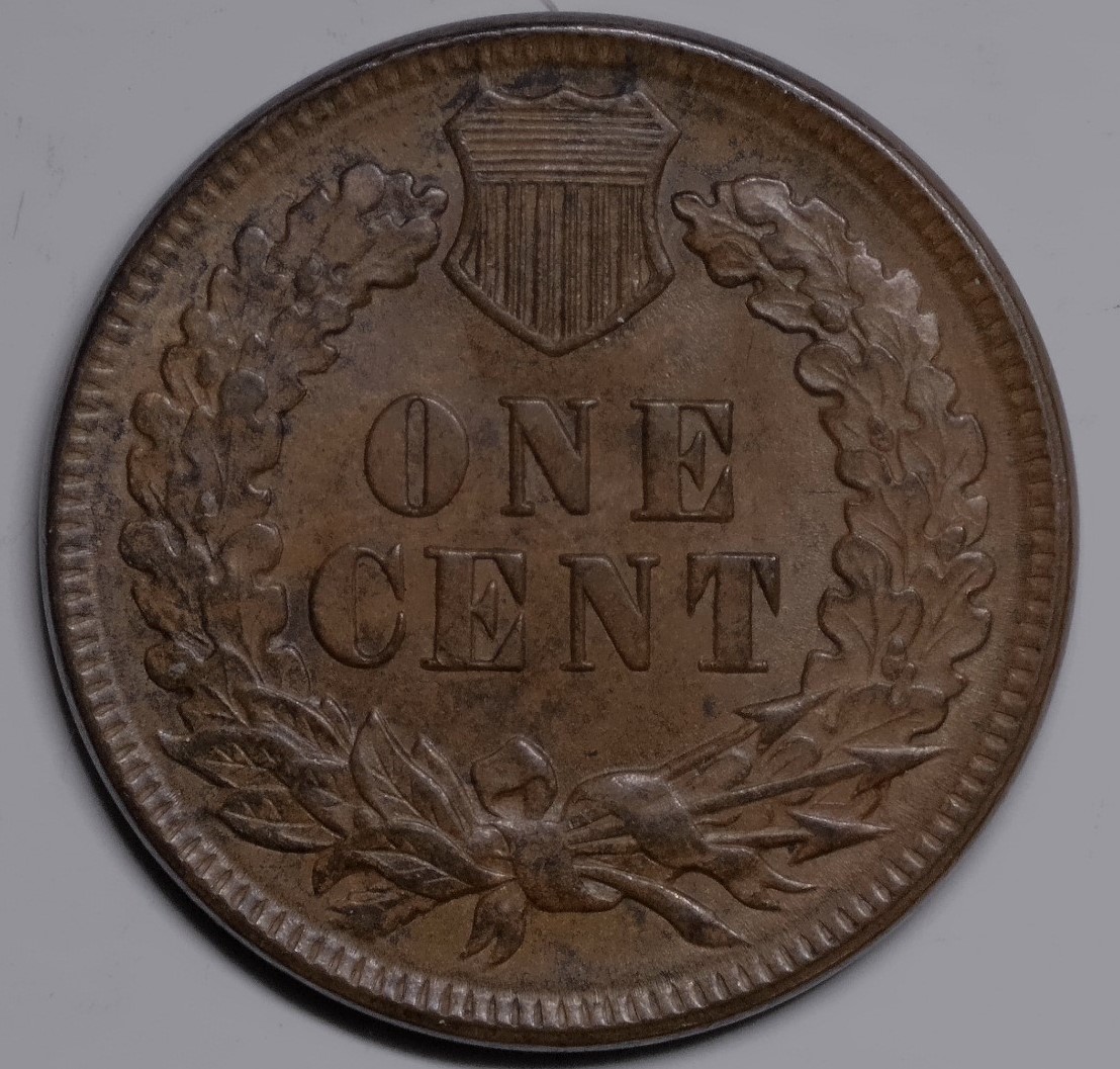 For-Grading---1893-Indian-Head-Cent