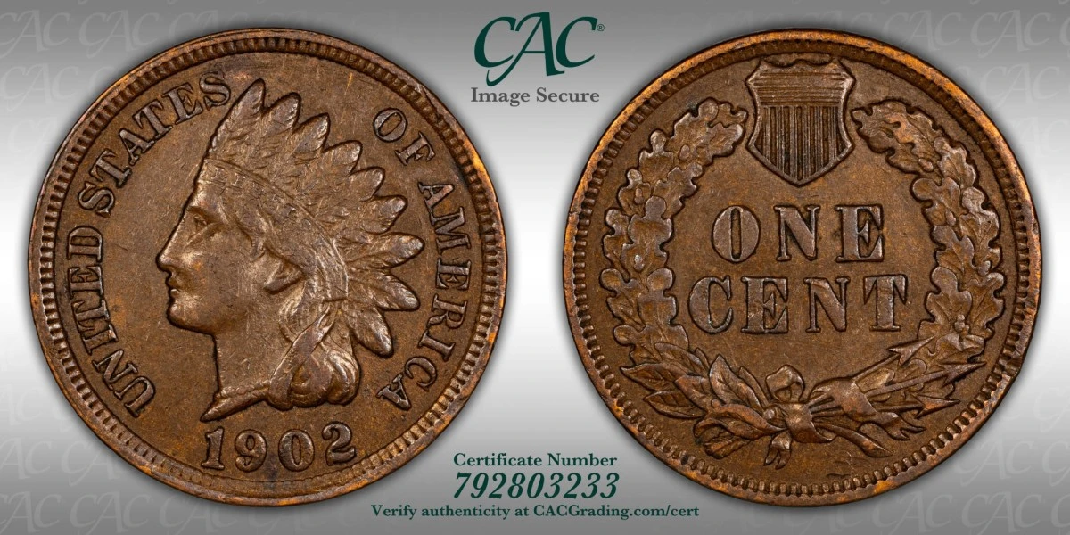 For-Grading---1902-Indian-Head-Cent