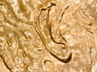 2001-D-Lincoln-Cent-DD-Ear
