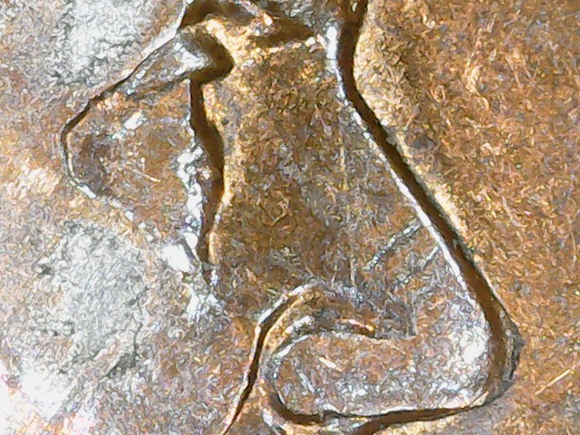 1998-Lincoln-Cent---Eye-&-Nose-Error-+-Lots-More?